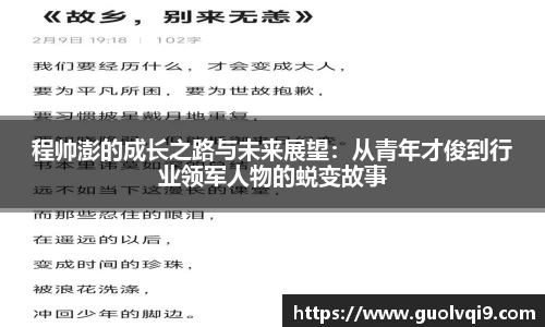 程帅澎的成长之路与未来展望：从青年才俊到行业领军人物的蜕变故事